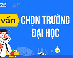 Hình ảnh về Tư vấn viên Giải Pháp Chọn Trường đang tư vấn cho học viên