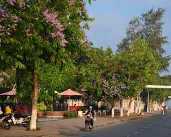 Hình ảnh về Thị xã Tân Châu An Giang