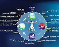 Hình ảnh về Người học trực tuyến tại nhà, biểu tượng tự do thời gian và địa điểm